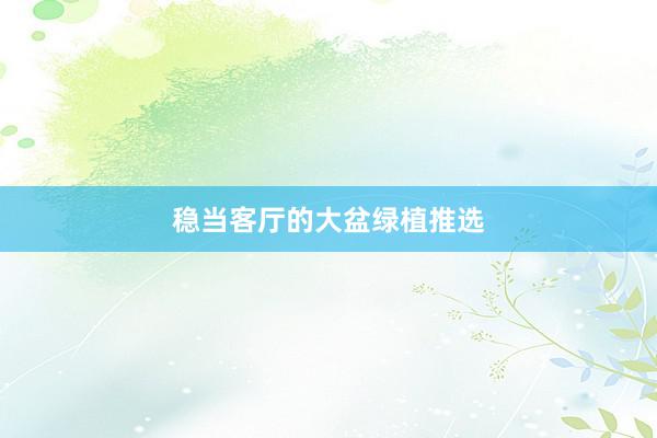 稳当客厅的大盆绿植推选