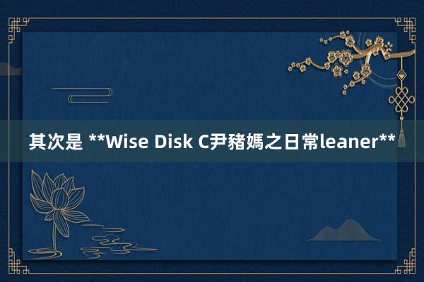 其次是 **Wise Disk C尹豬媽之日常leaner**