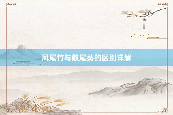 凤尾竹与散尾葵的区别详解