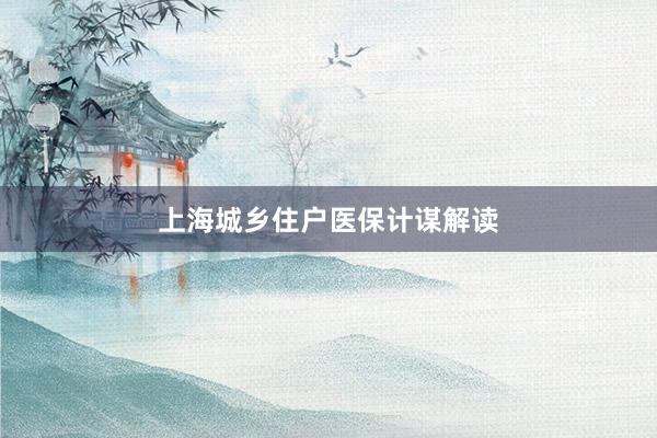 上海城乡住户医保计谋解读
