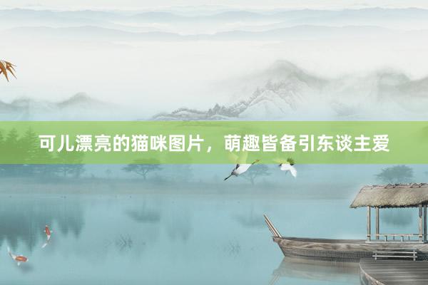 可儿漂亮的猫咪图片，萌趣皆备引东谈主爱